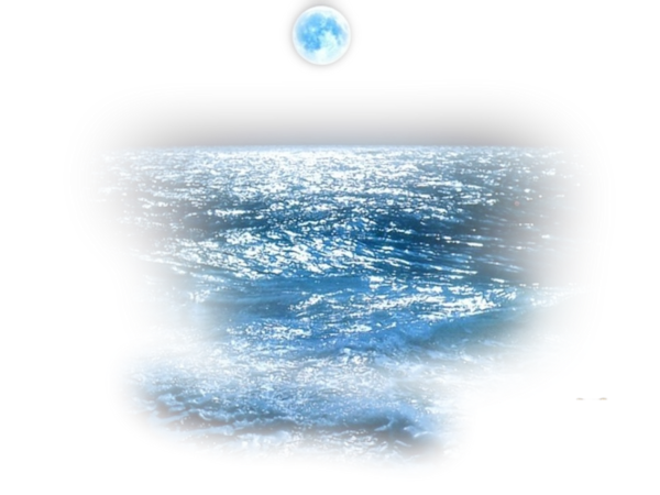 Image du Blog caroladiva.centerblog.net